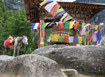 Angkor Tours Bhutan